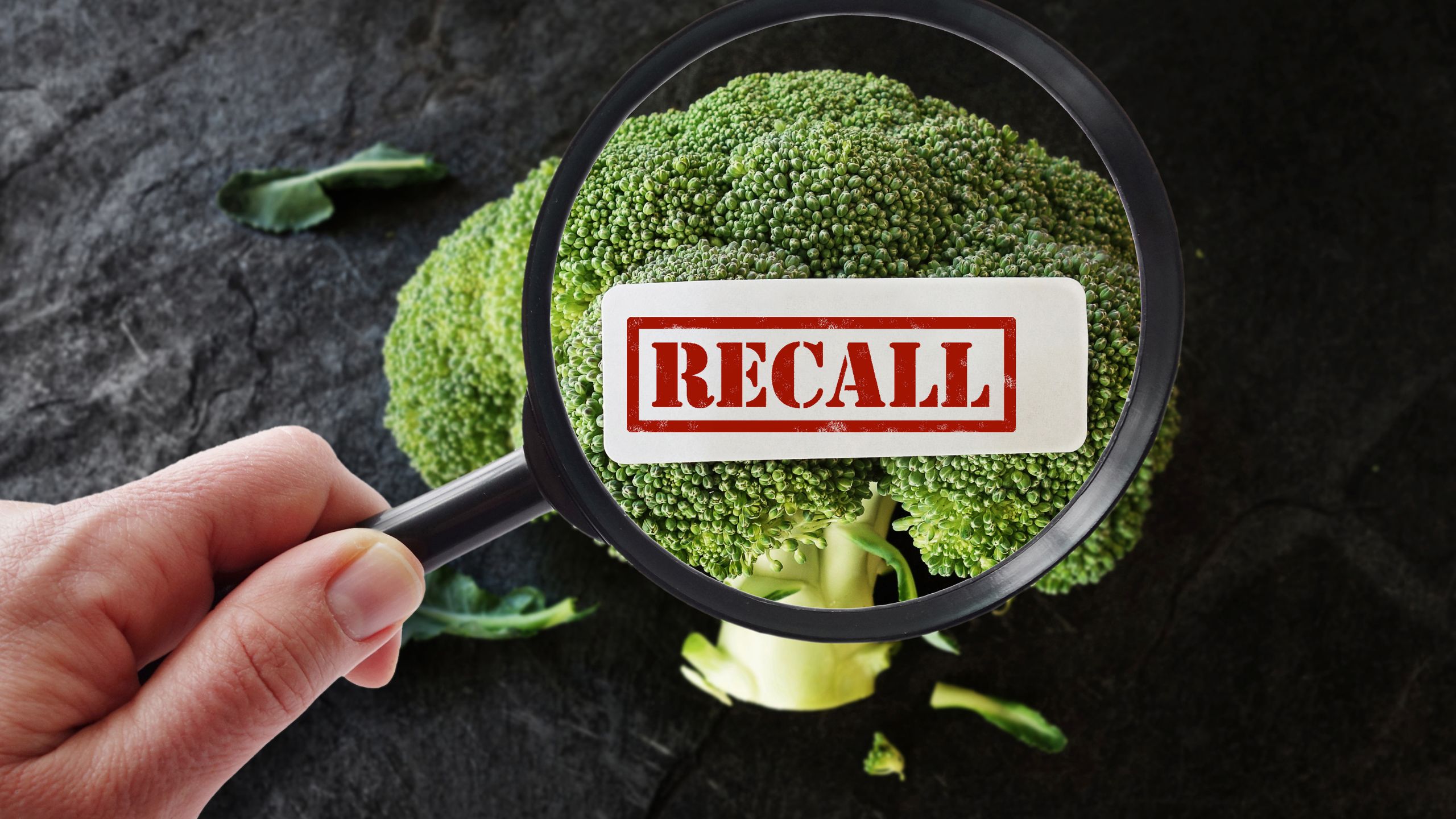 An SQF Practitioner evaluates broccoli to determine if a Recall is necessary.